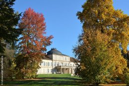 Das Schloss der Universität Hohenheim mitten im herbstlich gefärbten Baumbestand