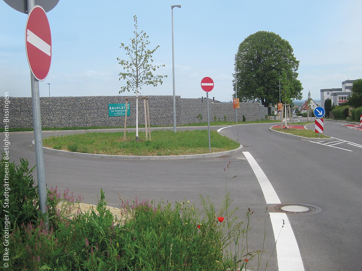 Die 2019 neu angelegten Verkehrsinseln am „Haslacher Weg“, mit dem sich Bietigheim-Bissingen beworben hat, beginnen zu ergrünen.
