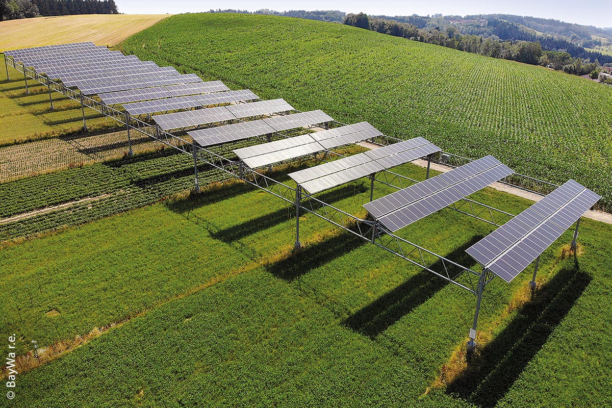 Auch bei der Agrophotovoltaik-Pilotanlage in Heggelbach sind die Abstände der PV-Module weit genug, damit die Pflanzen darunter genügend Sonnenlicht bekommen.