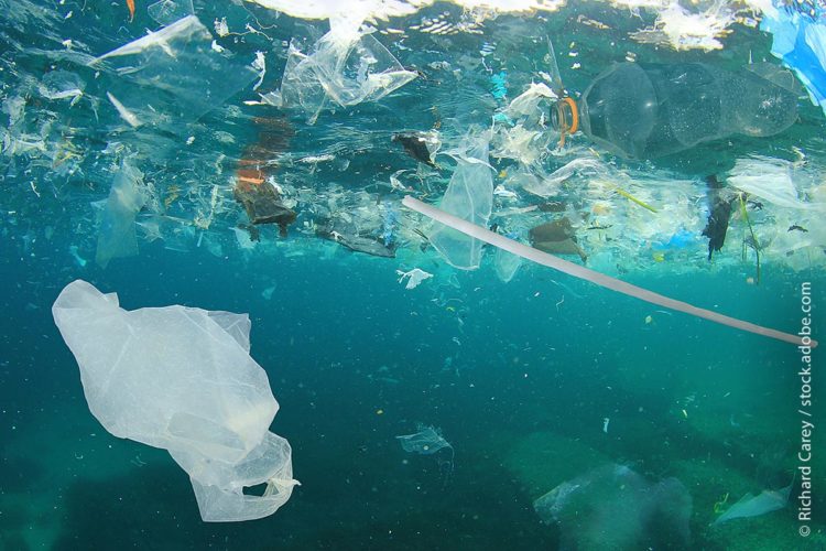 Bilder, die unser Gewissen geprägt haben: Plastikmüll im Ozean. Obwohl nach Expertenmeinung nicht der private, sondern eher der gewerbliche Plastikmüll Verursacher der Vermüllung unserer Meere ist, entbrannte eine rege Diskussion um das geplante Verbot von Einkaufstüten aus Kunststoff.