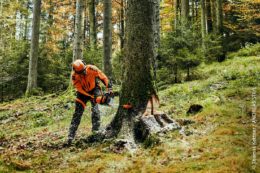 Ganz gleich ob im Wald oder in der Werkstatt: Arbeitsschutz ist ein wichtiges Thema.