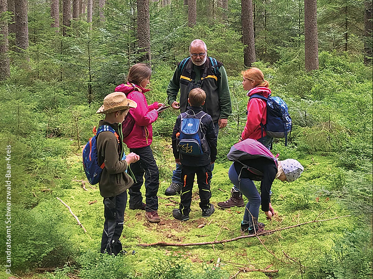Mit Förster und Waldpädagogen die Geheimnisse des Waldes erkunden und auch für die kleinsten Dinge offen sein.