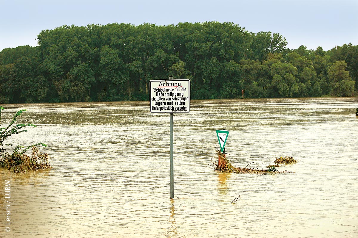 Überflutung am Rhein zwischen Karlsruhe Maxau und Eggenstein im August 2007
