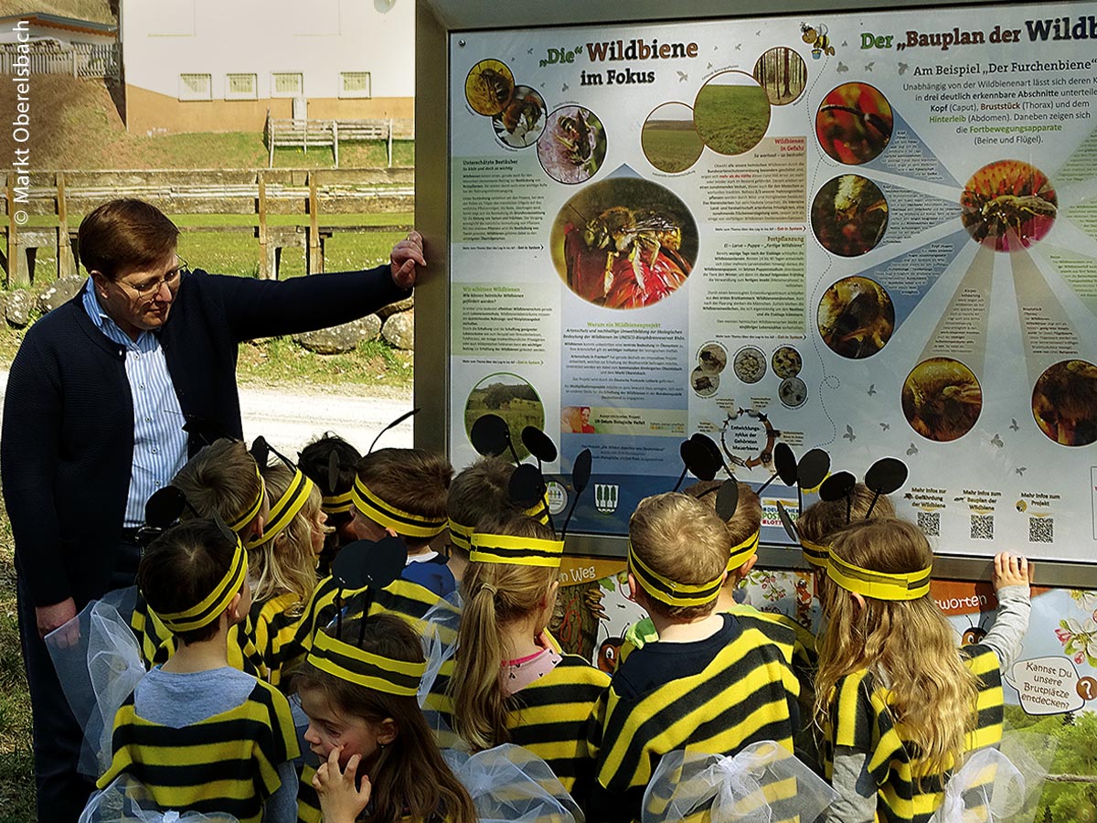 Birgit Erb bringt den Kindergartenkindern in Oberelsbach die Wichtigkeit des Schutzes der Wildbienen nahe. 
