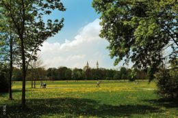 Blick in den Englichen Garten in München