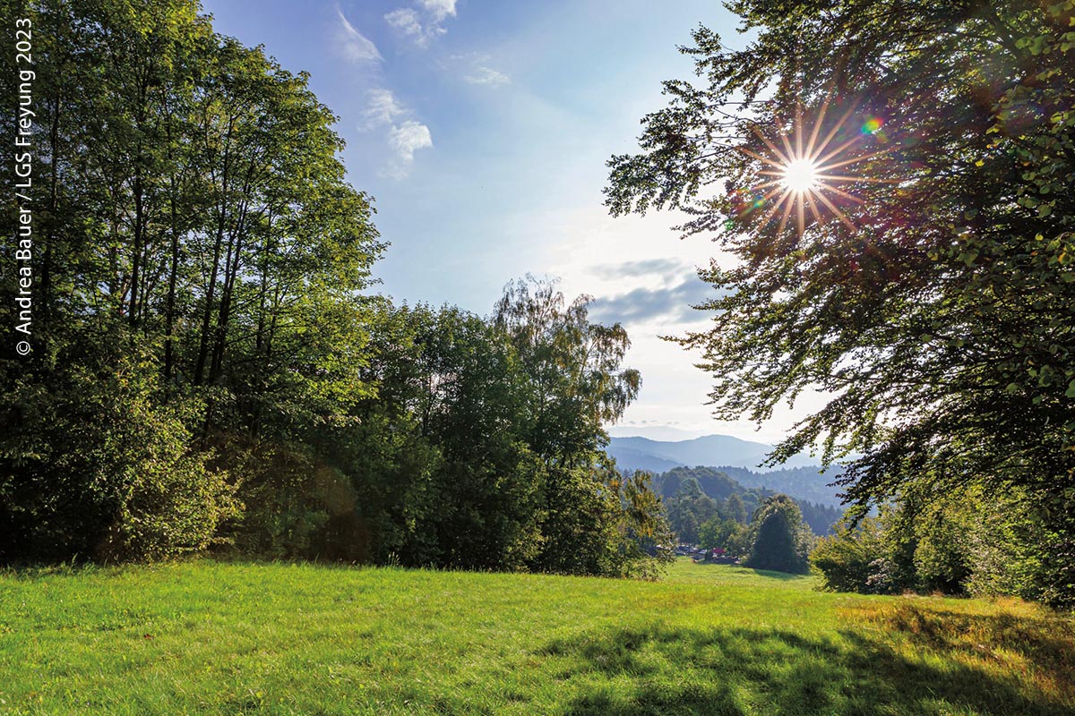 Auf dem Gelände der Bayerischen Landesgartenschau in Freyung ist man dem Himmel ein Stück näher.