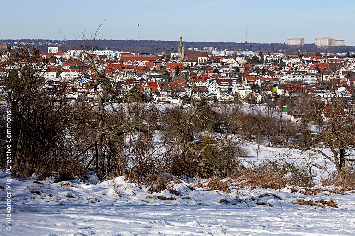 Blick auf Echterdingen, im Hintergrund der Stuttgarter Fernsehturm und die Wohnsiedlung Hannibal.