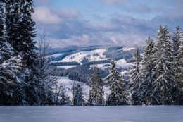 Schwarzwald im Winter mit verschneiten Hügeln und Wald