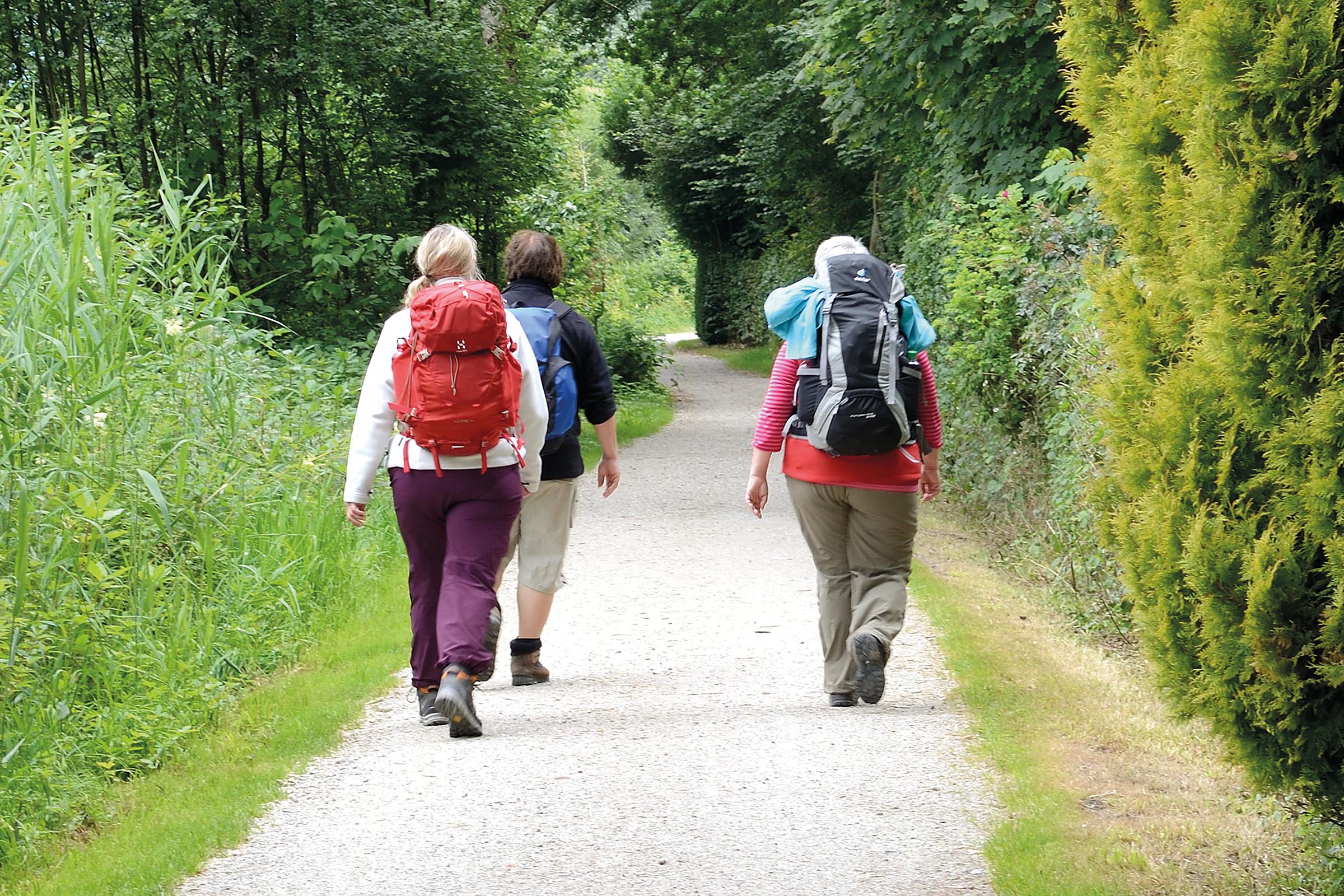 Frauen mit Rucksäcken auf einem Wanderweg mitten im Grünen