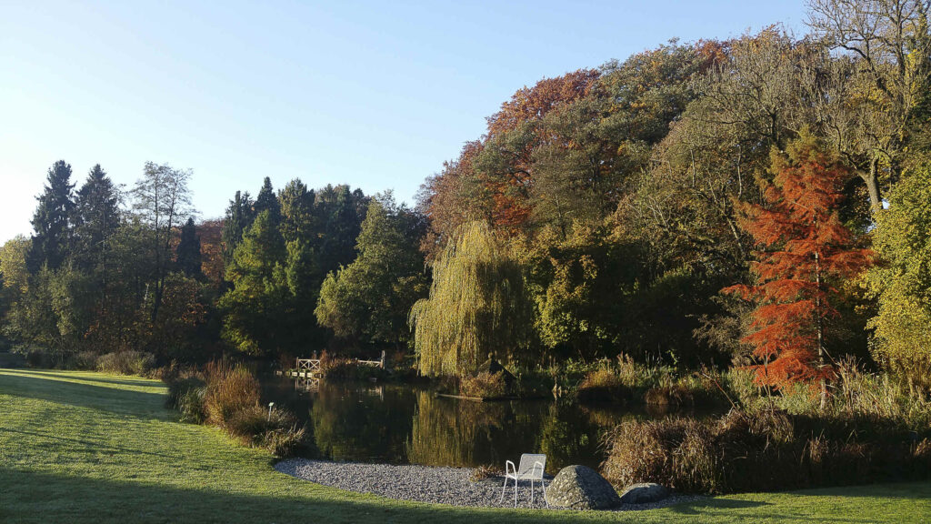 Wenn sich die Blätter in leuchtende Rot- und Goldtöne färben und die Natur ihre letzte große Farbenpracht entfaltet, zeigt sich der Botanische Garten Augsburg von einer besonders stimmungsvollen Seite.