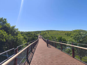 Ausflug zur beeindruckenden Drachenschwanzbrücke in Thüringen bei strahlendem Sonnenschein.